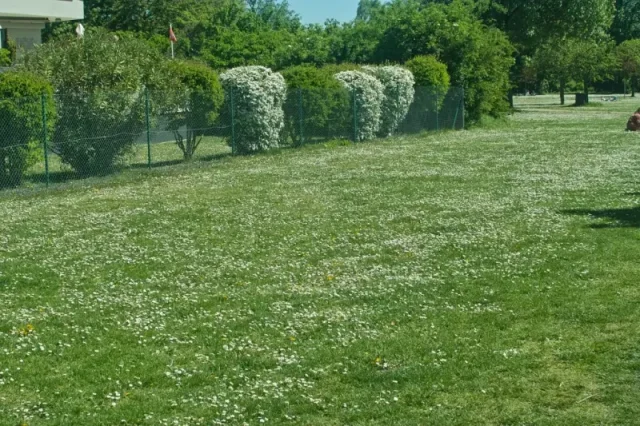 Jak kupić działkę pod budowę domu